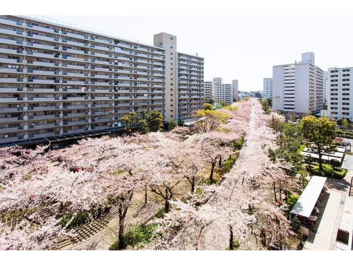 02高島平団地2-28-3，2-28-5号棟耐震改修工事